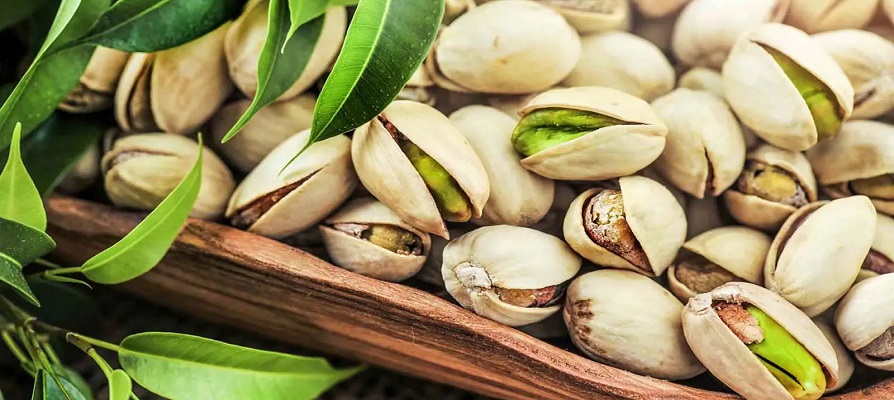 ظرفیت‌ های صادرات پسته استان کرمان مورد توجه فائو قرار گرفت