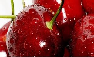 صادرات زردآلو و گیلاس به ترکیه؛ ضریب پایین تکنولوژی پس از برداشت در باغداری ایران