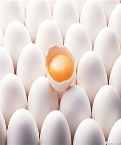 قیمت تخم مرغ کاهش یافت