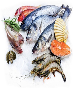 12 هزار تن ماهی کیلکا در دریای خزر صید شد 