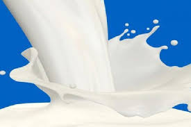 انحصار در خرید شیرخام عمدی نیست/ کیفیت دلیل اصلی انتخاب است