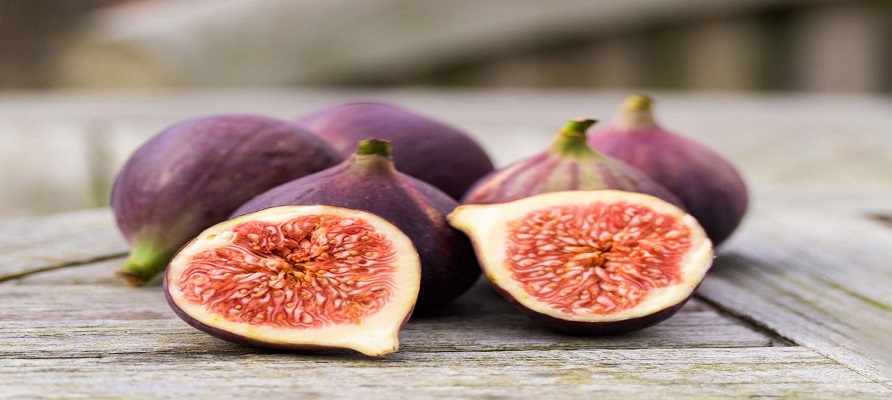 صادرات انجیر به 50 میلیون دلار رسید