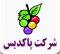 لوگوی شرکت پاکدیس
