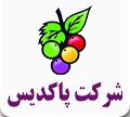 لوگوی شرکت پاکدیس 