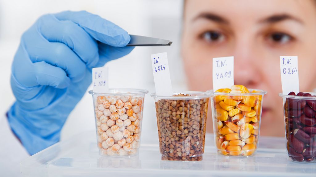 طرح ملی ارتقای ایمنی غذا با تمرکز بر پایش سموم کلید می‌خورد