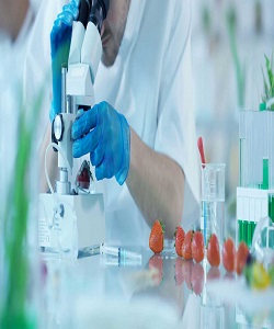 ارائه خدمات سنجش میزان بار میکروبی آزمایشگاهی در صنایع غذایی و دارویی