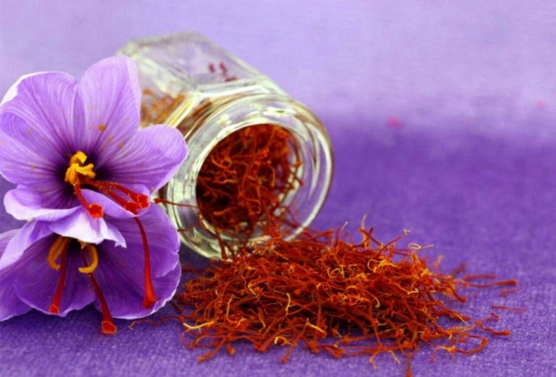 آینده تولید طلای سرخ در معرض خطر است