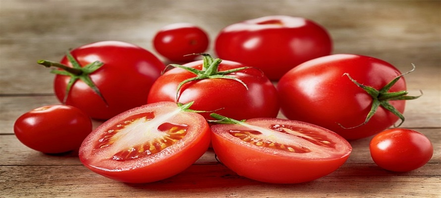 عرضه گوجه فرنگی در روزهای آتی افزایش می یابد