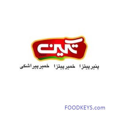 لوگوی شرکت پونک شیر خاوران