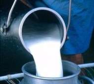 تولید شیر خام در کشور 5.7 درصد افزایش یافت