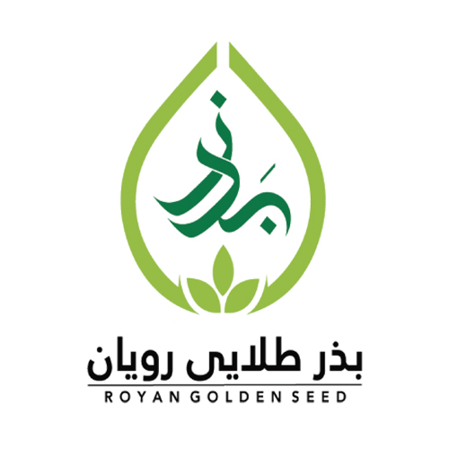 لوگوی شرکت بذر طلایی رویان