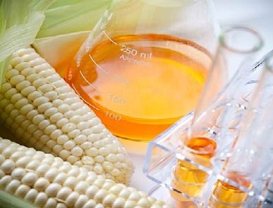 تولید شیرین‌ کننده‌های طبیعی از ذرت/تامین نیاز صنایع روغن‌ کشی