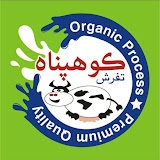 لوگوی شرکت تعاونی فراورده های لبنی مرجان تفرش
