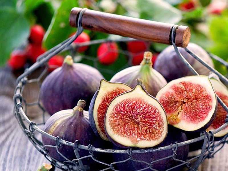 ضرورت تشکیل زنجیره ارزش برای ساماندهی تولید تا عرضه انجیر/ تولید حدود ۹۵ هزار تن انجیر در کشور
