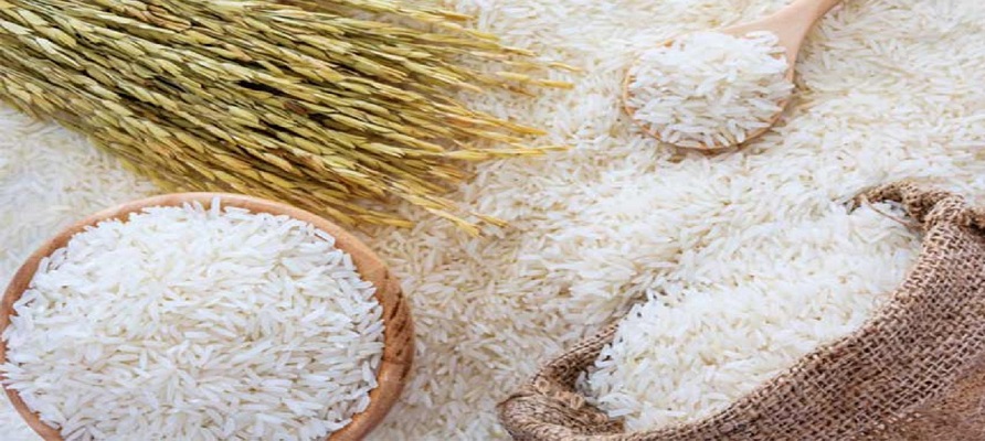 ۵۰۰ هزار تن برنج در انبارهای مازندران دپو شد