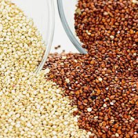 آشنایی با دانه کینوا یا خاویار گیاهی 
