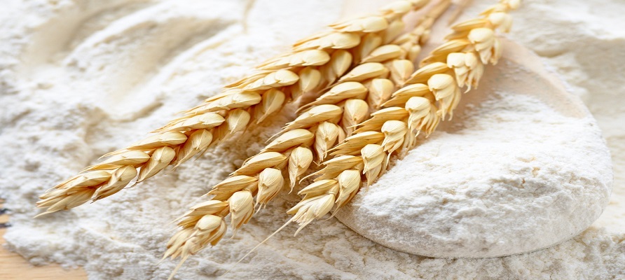کیفیت انواع آرد و نان سنتی در وضعیت مطلوب قرار دارد
