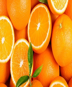 پیش بینی رشد ۱۰ درصدی تولید مرکبات