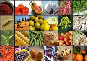 بازار ۲۸۰ میلیونی برای محصولات کشاورزی ایران