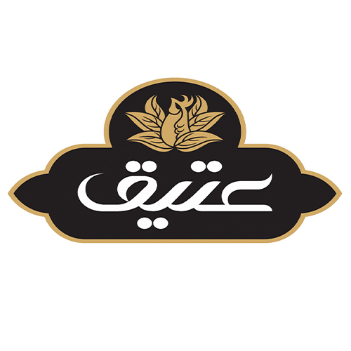 لوگوی شرکت توانمند تجارت امین آریا