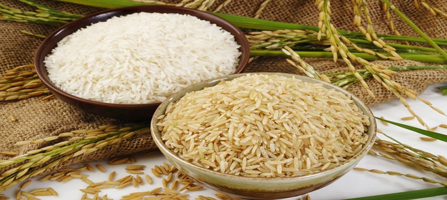طرح شناسنامه‌ دار شدن برنج ایرانی به‌ زودی آغاز می شود