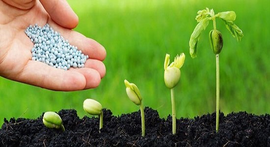 جلوگیری از خروج ۸۰ میلیون دلار ارز با تولید کودهای فسفاته