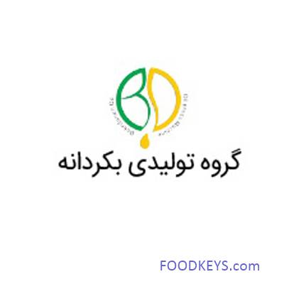 لوگوی شرکت بکردانه تجهیز سپاهان