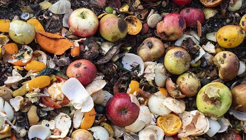 کاهش ۳۵ تا ۴۰ درصدی ضایعات کشاورزی؛ کلید بهبود امنیت غذایی کشور