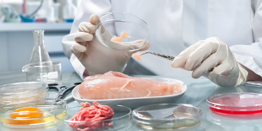 کنترل بهداشتی زنجیره تأمین غذا ضامن امنیت غذایی کشور