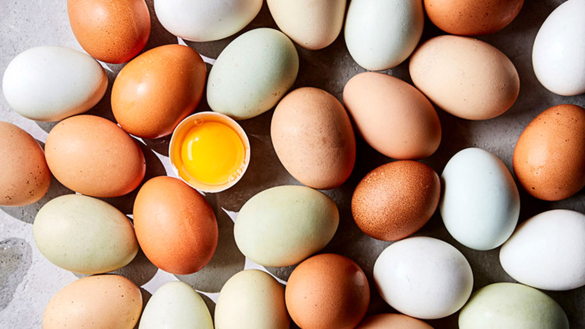 صادرات تخم مرغ ۱۲۰ درصد افزایش یافت