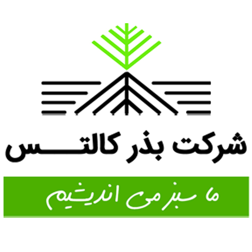 لوگوی شرکت بذر کالتس
