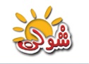 لوگوی شرکت شولن