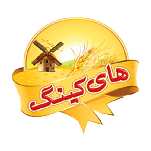 لوگوی شرکت وند سیستم نوین 