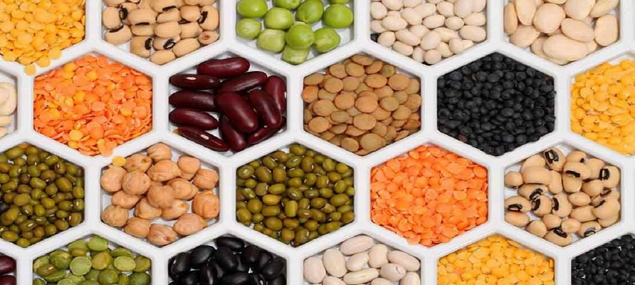 ۳۵ درصد حبوبات از طریق واردات تامین می‌شود