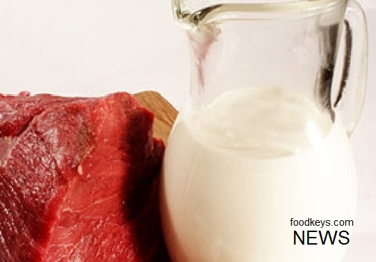 عشایر 25 درصد پروتئین کشور را تولید می کنند