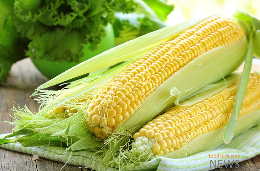 شرایط واردات گلوتن ذرت و جو پرک شده اعلام شد