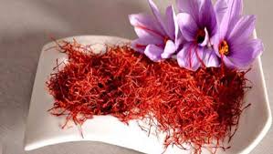 رشد ۱۵ درصدی تولید طلای سرخ در راه است