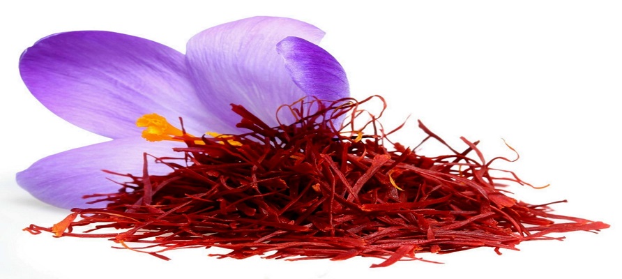 پیش بینی تولید ۵۰ درصدی زعفران در کشور