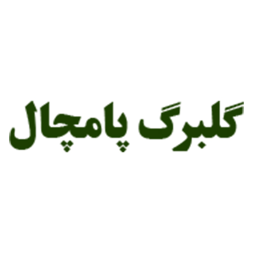 لوگوی شرکت گلبرگ پامچال