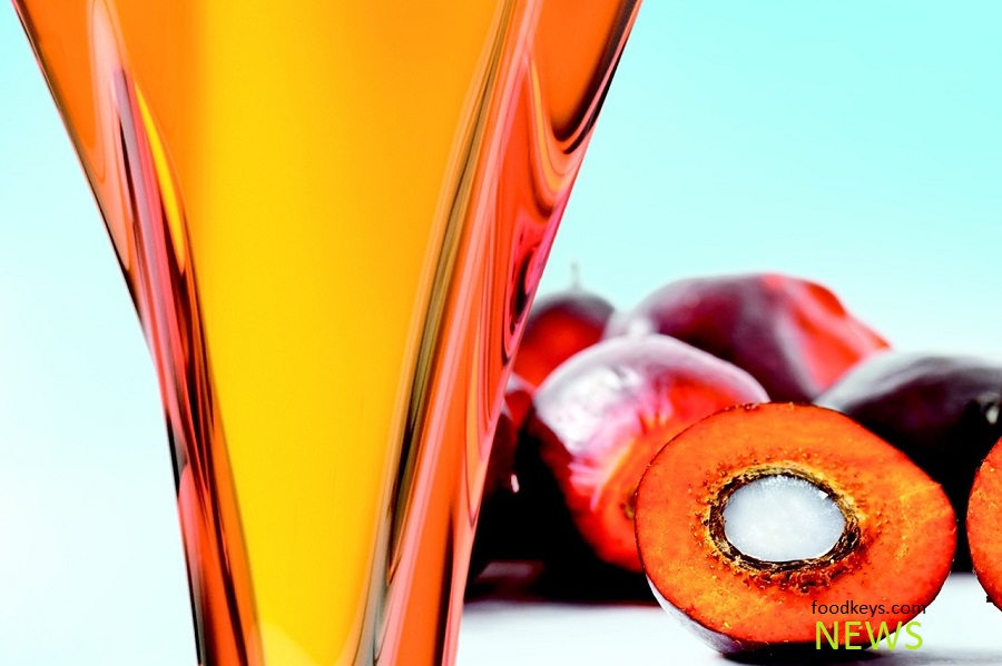 تعیین مالیات سنگین روسها برای واردات روغن پالم