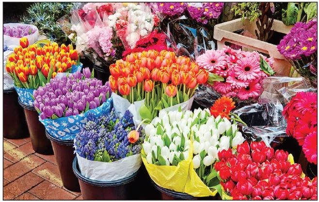 صادرات پنج میلیون دلاری گل و گیاه در بهار ۹۹