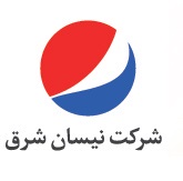 لوگوی شرکت نیسان شرق