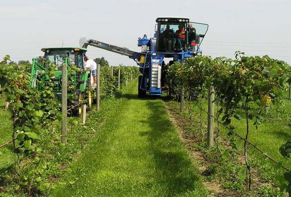 کشت فراسرزمینی نهاده های دامی در برزیل پیگیری می شود