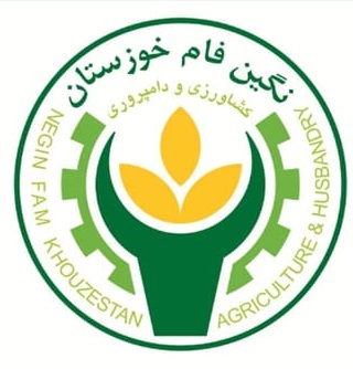 لوگوی شرکت کشاورزی دامپروری نگین فام خوزستان