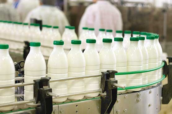 موفقیت خرید توافقی شیرخام/ صنایع لبنی شیر را به قیمت واقعی بخرند