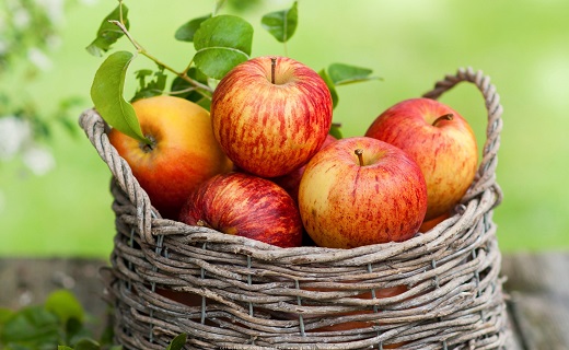 خریدتضمینی سیب به بیش از 40 هزارتن سیب درختی رسید
