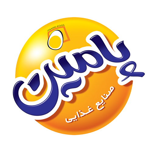 لوگوی شرکت پارس آیلین مهر