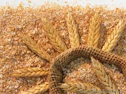 افزایش نرخ جو در برابر گندم / زنگ خطر برای تولید گندم به صدا در آمد