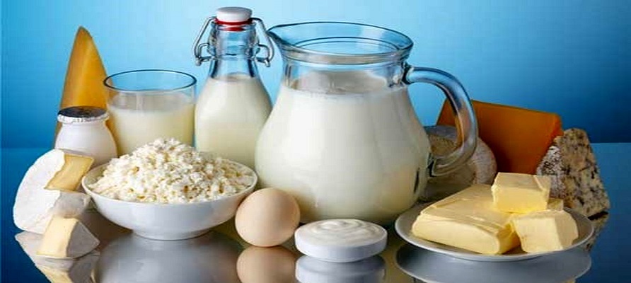 پتانسیل تولید سالانه ۱۵ میلیون تن شیرخام در کشور
