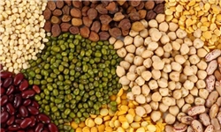 صادرات ۱۸ نوع ماده غذایی ممنوع شد